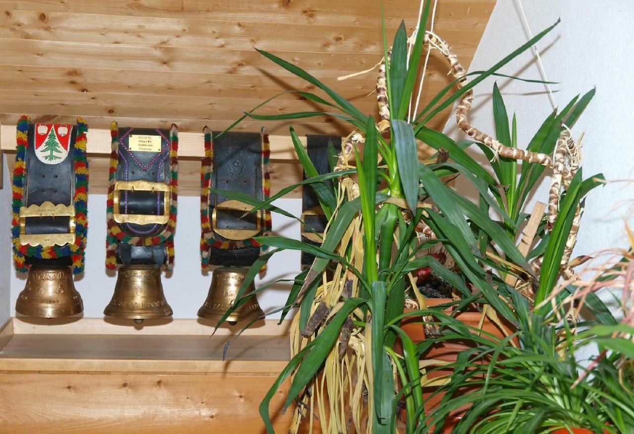 Villa Bauernhof Madlener Claudia Schoppernau Esterno foto